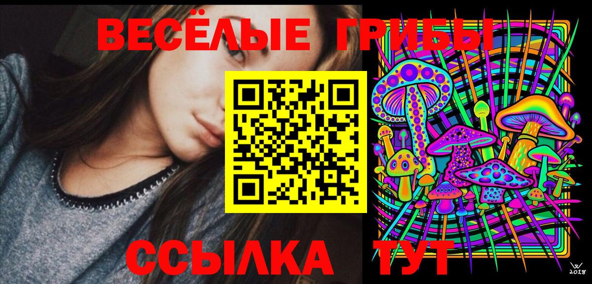 Галлюциногенные грибы MAGIC MUSHROOMS Пермь
